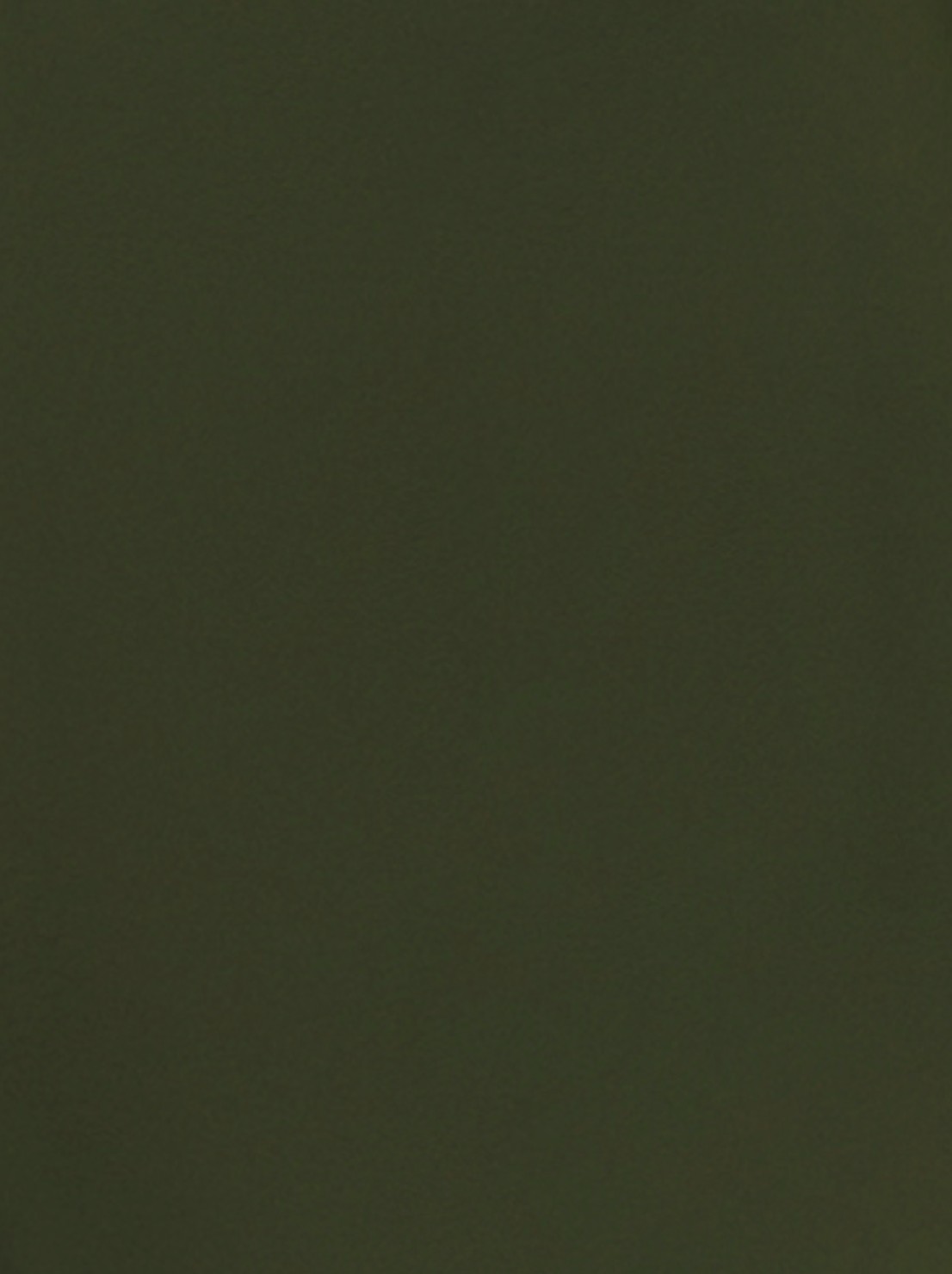 Classic T-Shirt - Various Colours - Image 5